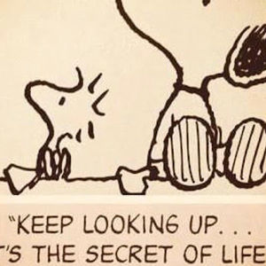 Meet your Posher, Kong